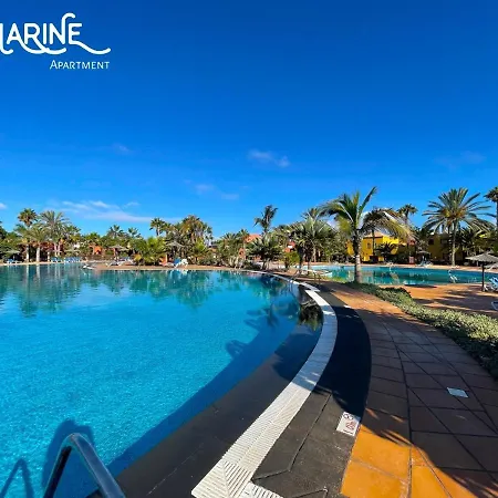 Апартаменты Tamarindo Blumarine - Pool & Wifi Free 4 Persons *