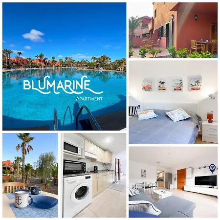 Διαμέρισμα Tamarindo Blumarine - Pool & Wifi Free 4 Persons *